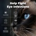 pet-eye-health-for-dogs-cats-cattle-shee-2.jpg
