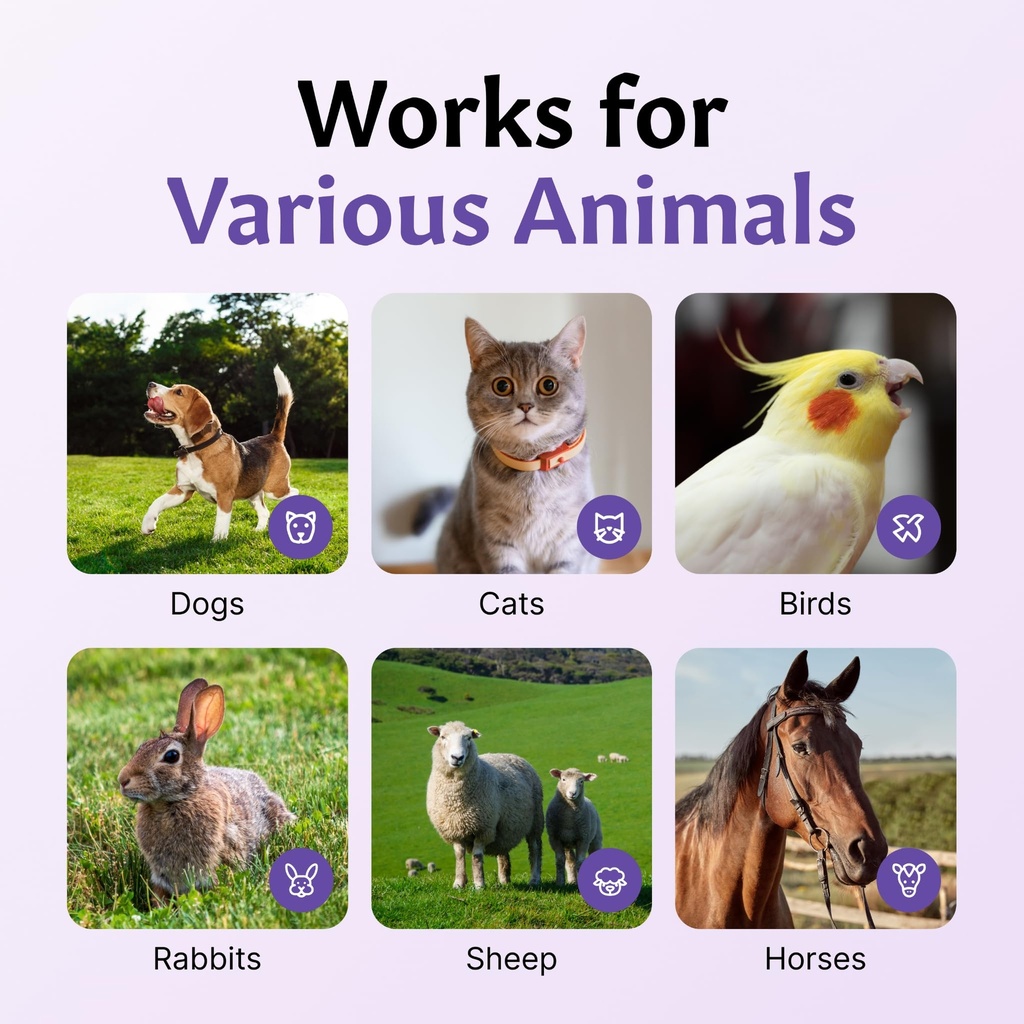 pet-eye-care-for-dogs-cats-gentle-eye-ca-3.jpg