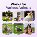 pet-eye-care-for-dogs-cats-gentle-eye-ca-3.jpg