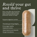 terraflora-advanced-care-synbiotic-sbo-p-4.jpg