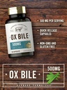 carlyle-ox-bile-supplement-500-mg-60-cap-4.jpg