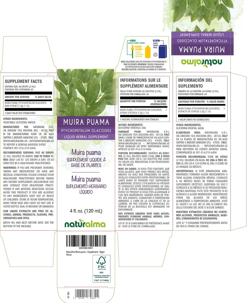 naturalma-muira-puama-ptychopetalum-olac-2.jpg