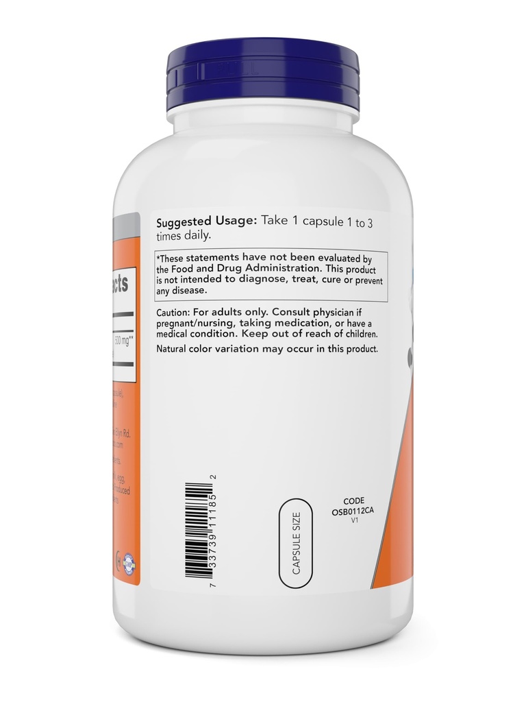 now-l-lysine-500-mg-360-vegetarian-capsu-2.jpg