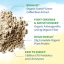 garden-of-life-raw-organic-fit-original--4.jpg
