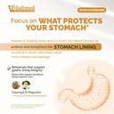 stomach-plus-gastric-lining-integrity-ul-4.jpg