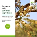 terry-naturally-bosmed-500-extra-strengt-5.jpg