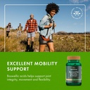 swanson-boswellia-serrata-extract-125-mg-6.jpg