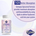 liposomal-hyaluronic-acid-supplements-10-4.jpg