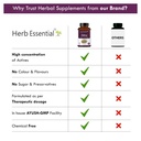 herb-essential-giloy-tablets-500mg-60-ta-4.jpg