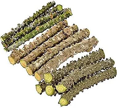 13-of-pack-fresh-neem-tree-giloy-plantat-4.jpg