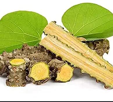 13-of-pack-fresh-neem-tree-giloy-plantat-2.jpg