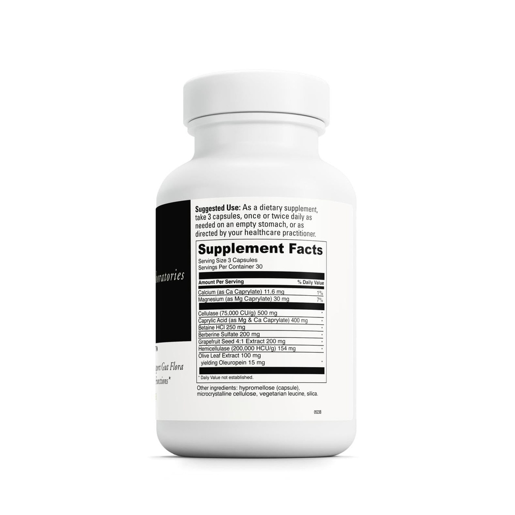 davinci-labs-candid-away-digestive-gut-h-2.jpg
