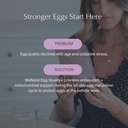 wenatal-egg-quality-supplement-coq10-nac-6.jpg
