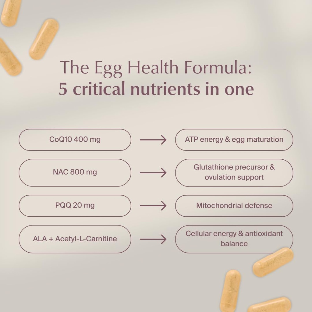 wenatal-egg-quality-supplement-coq10-nac-4.jpg