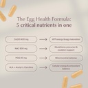wenatal-egg-quality-supplement-coq10-nac-4.jpg