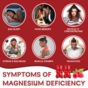 magnesium-glycinate-gummies-sugar-free-m-3.jpg