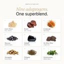 mushroom-coffee-enhancer-10-1-adaptogeni-3.jpg
