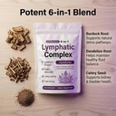 true-nutra-lymphatic-complex-true-nutra--3.jpg