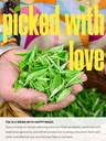 teelux-green-tea-bags-natural-pure-green-2.jpg