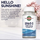 kal-ultra-vitamin-d3-10000-iu-250-mcg-hi-6.jpg