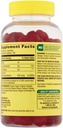 vitamin-b12-organic-vegetarian-gummies-m-2.jpg
