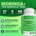 rosabella-moringa-2.jpg