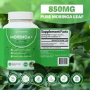 rosabella-moringa-5.jpg