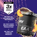 efx-sports-training-ground-eaa-essential-5.jpg