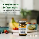 flora-advanced-adult-s-blend-probiotic-s-5.jpg