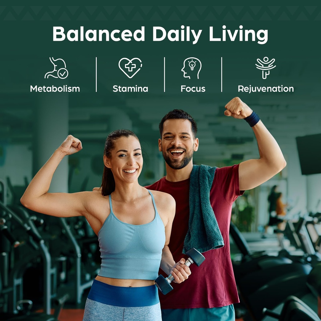 30-000-mg-shilajit-tablets-shilajit-hima-3.jpg