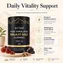 shilajit-gummies-pure-shilajit-himalayan-3.jpg