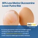 5-day-fast-acting-glucosamine-chondroiti-3.jpg