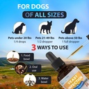 yeast-infection-treatment-for-dogs-reduc-5.jpg