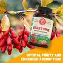1200mg-berberine-herbal-health-capsules--3.jpg
