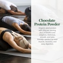 global-healing-organic-plant-chocolate-p-2.jpg