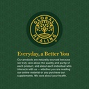 global-healing-organic-plant-chocolate-p-6.jpg