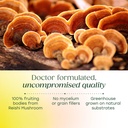megafood-superfood-mushroom-stress-relie-4.jpg