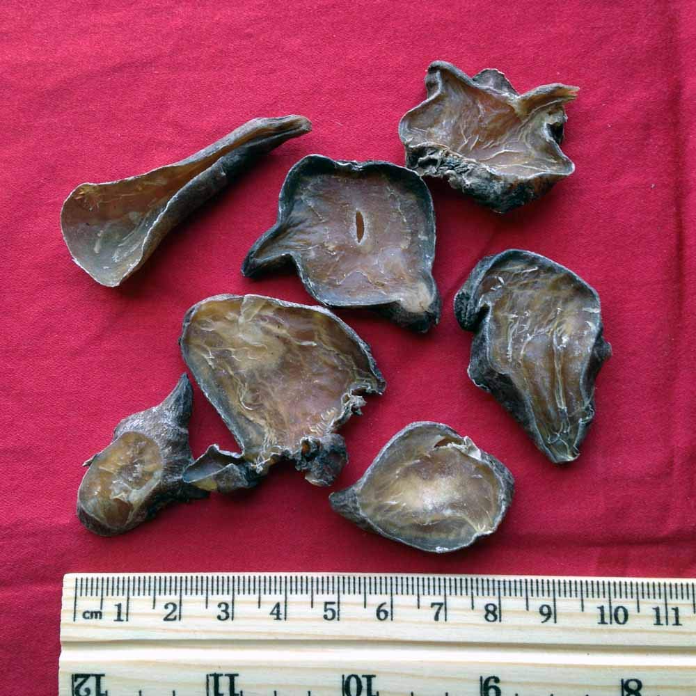 xyp-heishunpian-hei-shun-pian-zhi-fu-zi--3.jpg