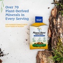 vital-earth-minerals-detox-wellness-supp-5.jpg