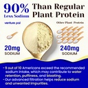 venture-pal-vanilla-vegan-protein-powder-3.jpg