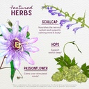 wishgarden-herbs-sleepy-nights-herbal-sl-4.jpg