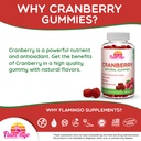 cranberry-gummies-1000-mg-cranberry-supp-4.jpg