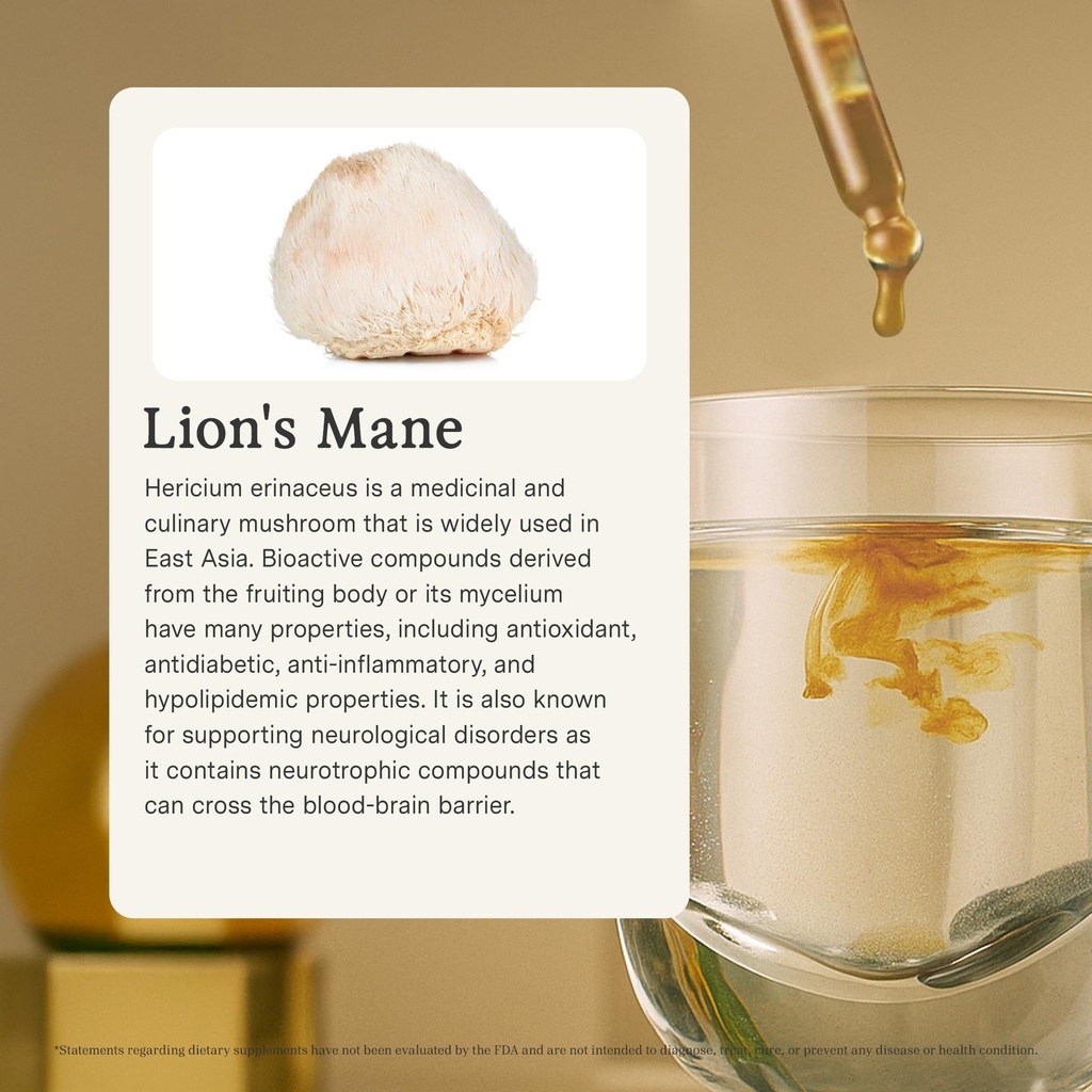 rainbo-lion-s-mane-mushroom-tincture-alc-4.jpg