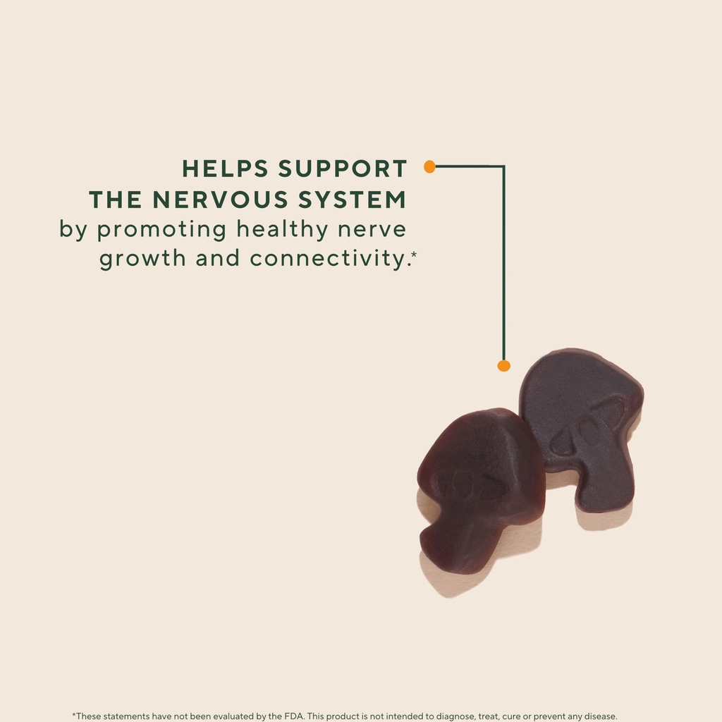 om-mushroom-superfood-lion-s-mane-mushro-3.jpg