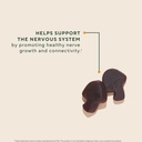 om-mushroom-superfood-lion-s-mane-mushro-3.jpg