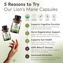 longevity-botanicals-organic-lion-s-mane-3.jpg