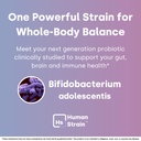 human-strain-bifidobacterium-adolescenti-2.jpg