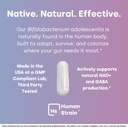 human-strain-bifidobacterium-adolescenti-4.jpg