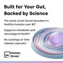 human-strain-bifidobacterium-adolescenti-3.jpg