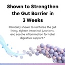 human-strain-bifidobacterium-adolescenti-5.jpg